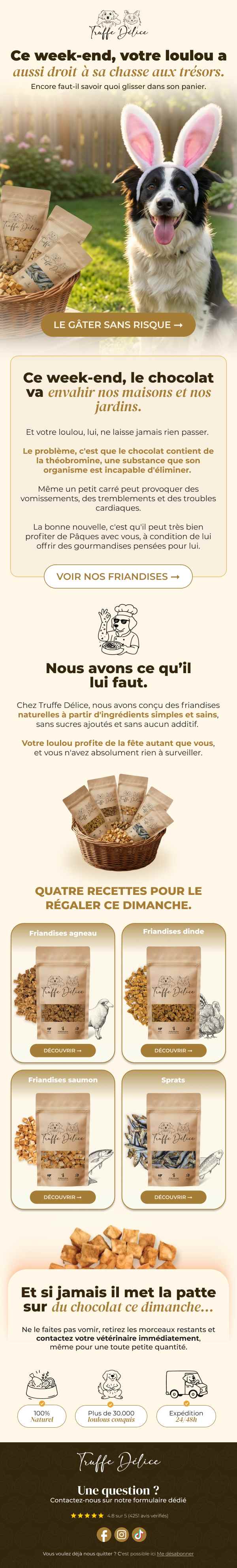 Exemple de newsletter e-commerce réalisée par Spicy Agency