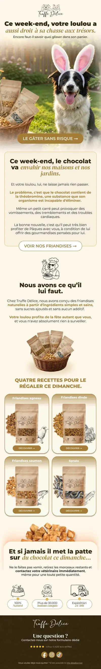 Exemple de newsletter e-commerce réalisée par Spicy Agency