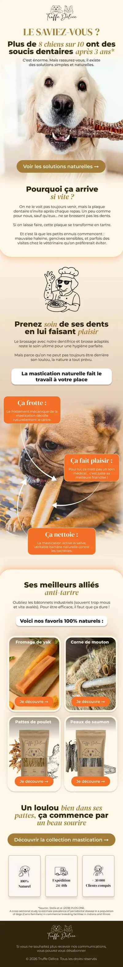Exemple de newsletter éditoriale « Le saviez-vous » réalisée par Spicy Agency
